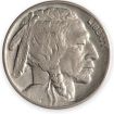 Buffalo Nickels 1913 - 1938