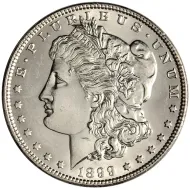 1899 Morgan Dollar - BU (Brilliant Uncirculated)