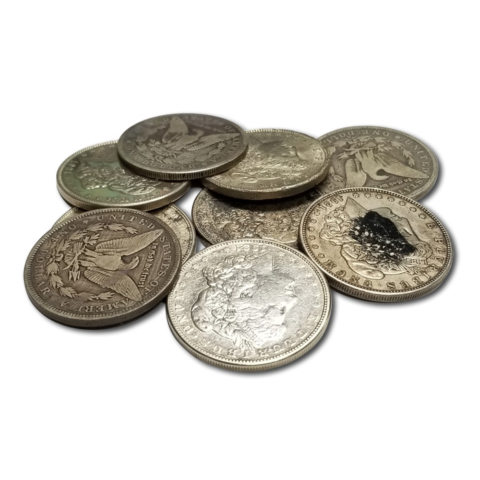 Morgan Silver Dollar Coin (Cull)